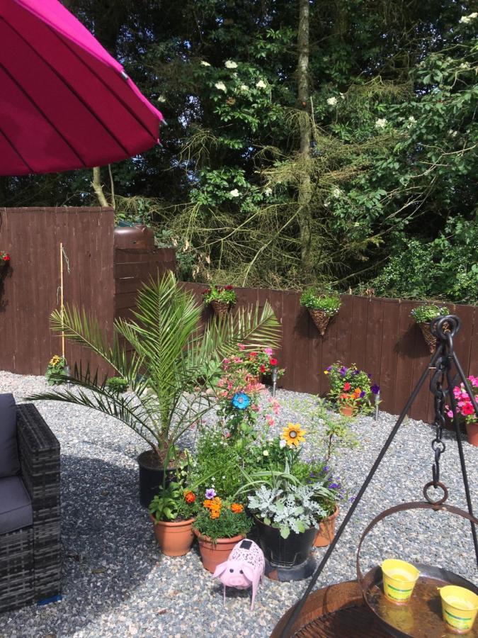 Bankhead Steading Accommodation Aberdeenshire Gamrie Exteriör bild