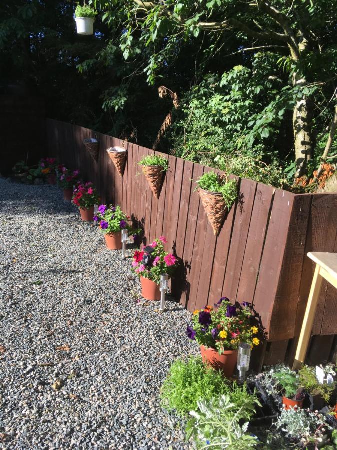 Bankhead Steading Accommodation Aberdeenshire Gamrie Exteriör bild